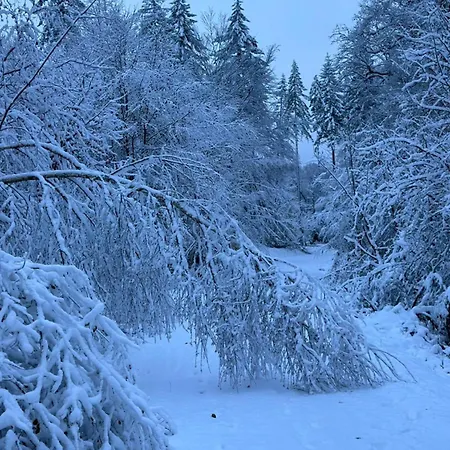 Wohnen Auf Zeit * Hilchenbach