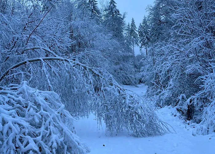 Wohnen Auf Zeit * Hilchenbach